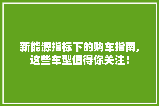 新能源指标下的购车指南,这些车型值得你关注！