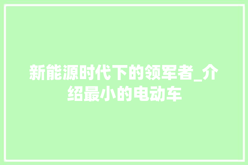 新能源时代下的领军者_介绍最小的电动车