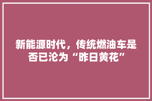 新能源时代，传统燃油车是否已沦为“昨日黄花”