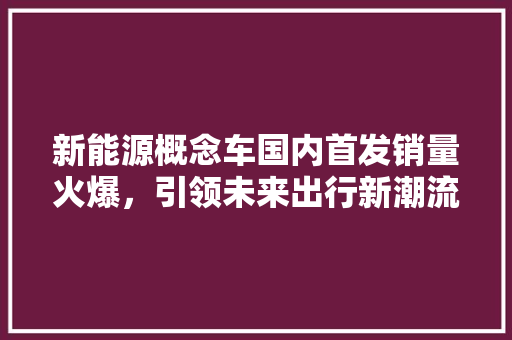 新能源概念车国内首发销量火爆，引领未来出行新潮流