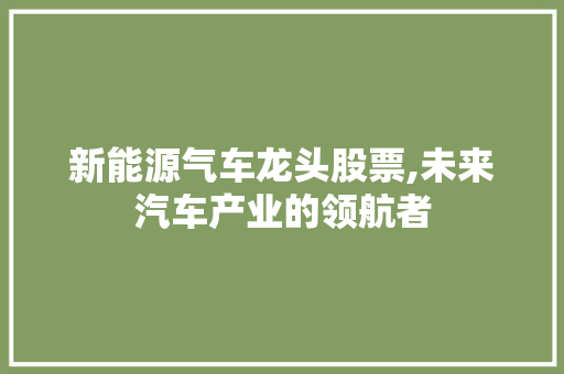 新能源气车龙头股票,未来汽车产业的领航者