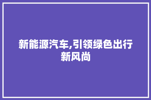 新能源汽车,引领绿色出行新风尚