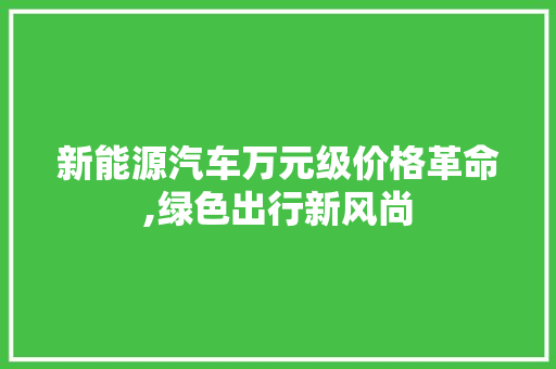 新能源汽车万元级价格革命,绿色出行新风尚