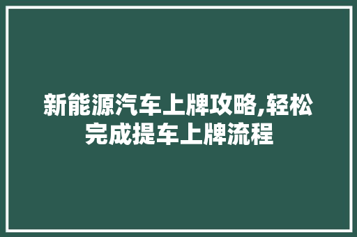 新能源汽车上牌攻略,轻松完成提车上牌流程
