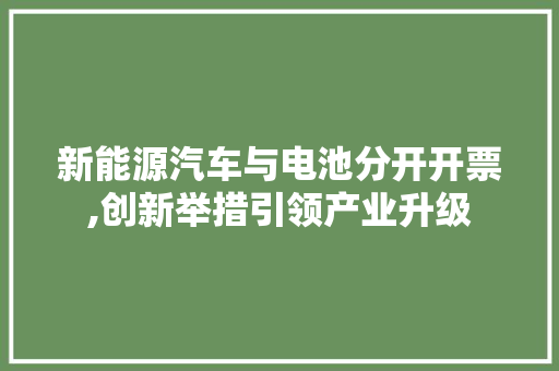 新能源汽车与电池分开开票,创新举措引领产业升级