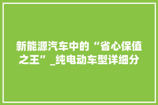 新能源汽车中的“省心保值之王”_纯电动车型详细分析