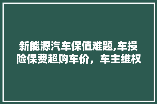 新能源汽车保值难题,车损险保费超购车价，车主维权路在何方