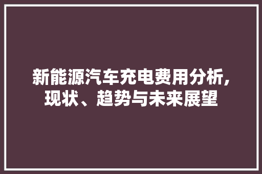 新能源汽车充电费用分析,现状、趋势与未来展望