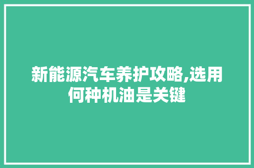 新能源汽车养护攻略,选用何种机油是关键