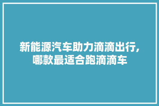 新能源汽车助力滴滴出行,哪款最适合跑滴滴车