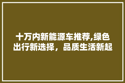 十万内新能源车推荐,绿色出行新选择，品质生活新起点