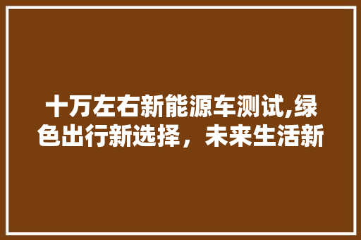 十万左右新能源车测试,绿色出行新选择，未来生活新篇章