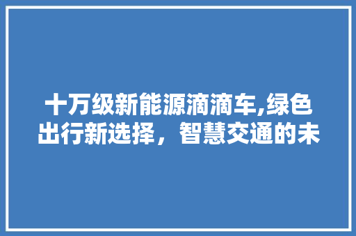 十万级新能源滴滴车,绿色出行新选择，智慧交通的未来篇章