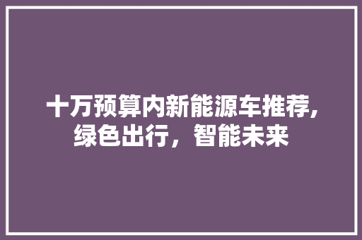 十万预算内新能源车推荐,绿色出行，智能未来