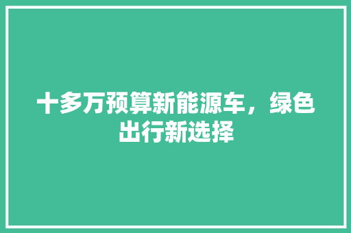 十多万预算新能源车，绿色出行新选择