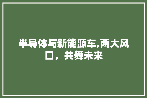 半导体与新能源车,两大风口，共舞未来