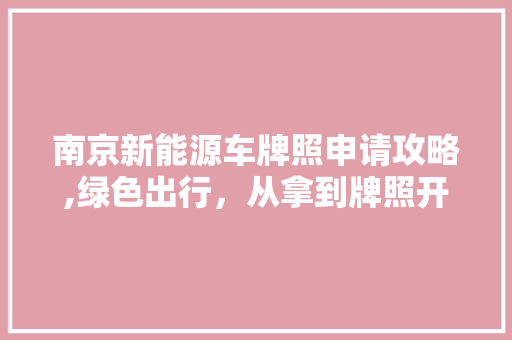 南京新能源车牌照申请攻略,绿色出行，从拿到牌照开始