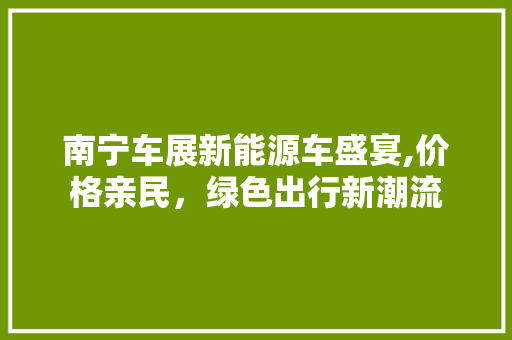 南宁车展新能源车盛宴,价格亲民，绿色出行新潮流