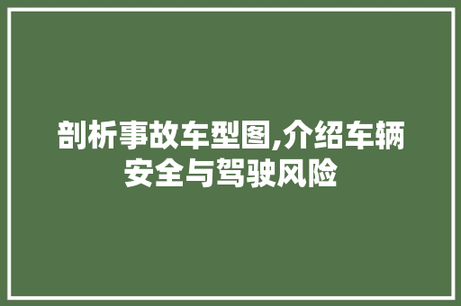 剖析事故车型图,介绍车辆安全与驾驶风险