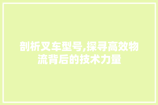 剖析叉车型号,探寻高效物流背后的技术力量