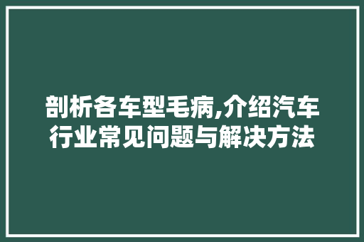 剖析各车型毛病,介绍汽车行业常见问题与解决方法