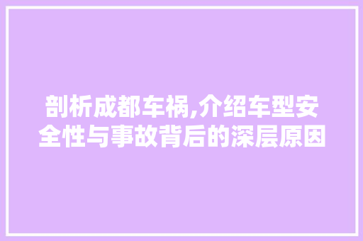 剖析成都车祸,介绍车型安全性与事故背后的深层原因
