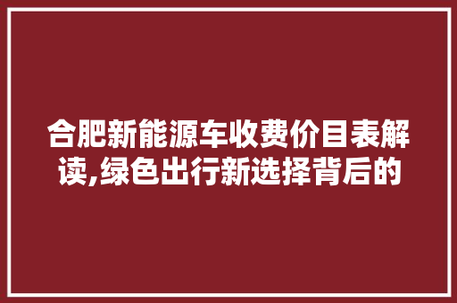 合肥新能源车收费价目表解读,绿色出行新选择背后的经济账