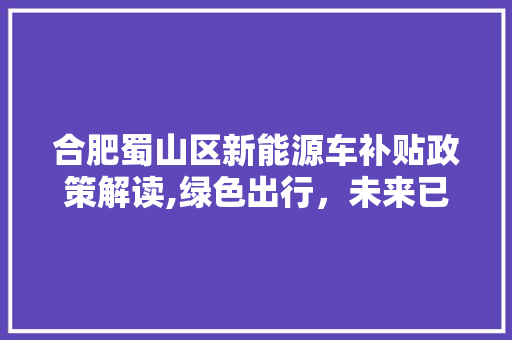合肥蜀山区新能源车补贴政策解读,绿色出行，未来已来