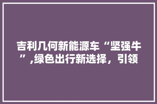 吉利几何新能源车“坚强牛”,绿色出行新选择，引领未来出行潮流