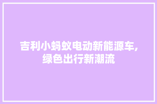 吉利小蚂蚁电动新能源车,绿色出行新潮流