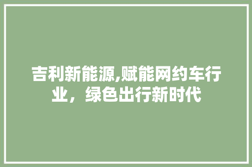 吉利新能源,赋能网约车行业，绿色出行新时代