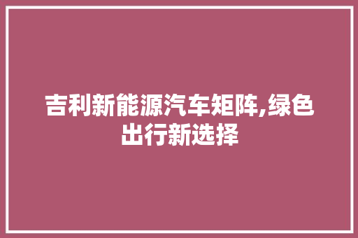 吉利新能源汽车矩阵,绿色出行新选择