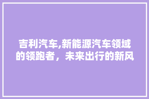 吉利汽车,新能源汽车领域的领跑者，未来出行的新风向标