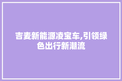吉麦新能源凌宝车,引领绿色出行新潮流