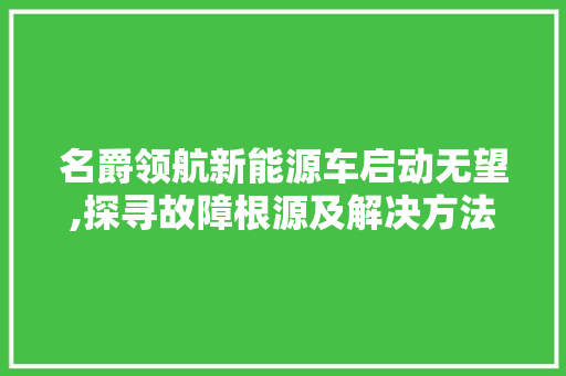 名爵领航新能源车启动无望,探寻故障根源及解决方法