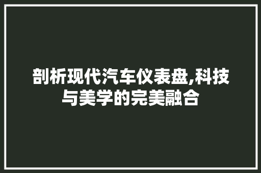 剖析现代汽车仪表盘,科技与美学的完美融合