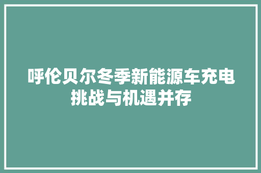 呼伦贝尔冬季新能源车充电挑战与机遇并存