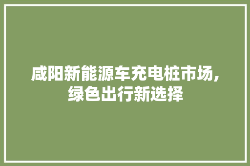 咸阳新能源车充电桩市场,绿色出行新选择