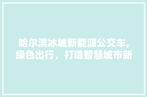 哈尔滨冰城新能源公交车,绿色出行，打造智慧城市新名片