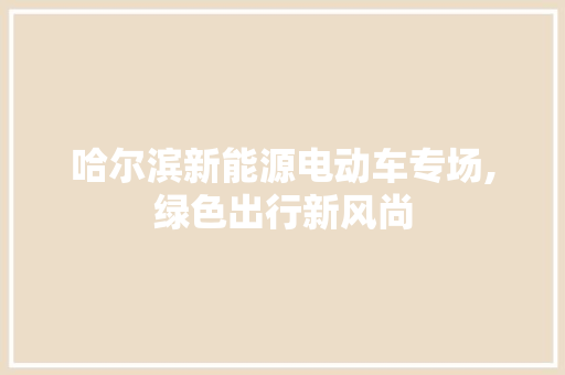 哈尔滨新能源电动车专场,绿色出行新风尚
