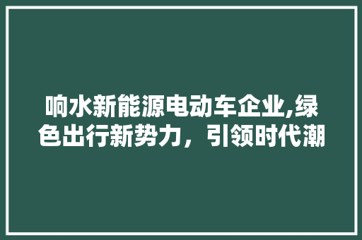 响水新能源电动车企业,绿色出行新势力，引领时代潮流