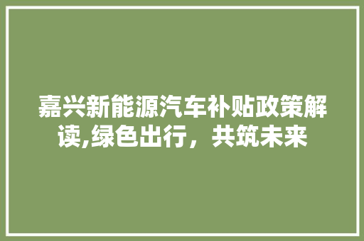 嘉兴新能源汽车补贴政策解读,绿色出行，共筑未来