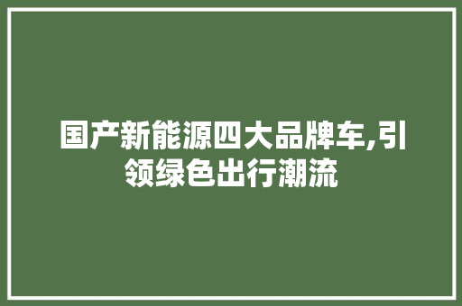 国产新能源四大品牌车,引领绿色出行潮流