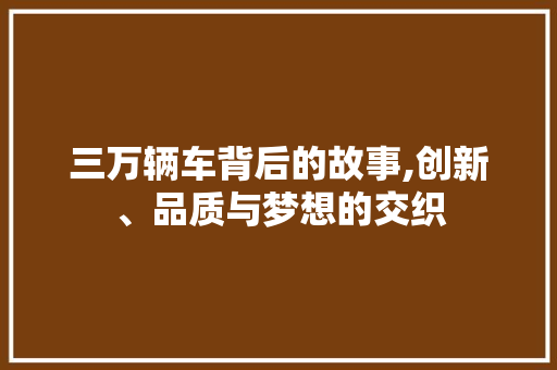 三万辆车背后的故事,创新、品质与梦想的交织
