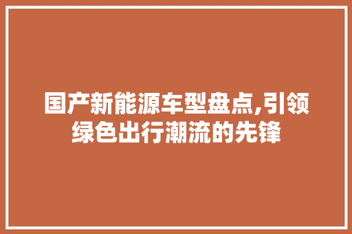 国产新能源车型盘点,引领绿色出行潮流的先锋