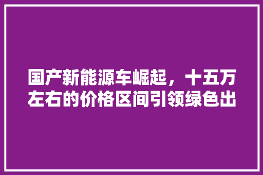 国产新能源车崛起，十五万左右的价格区间引领绿色出行新风尚