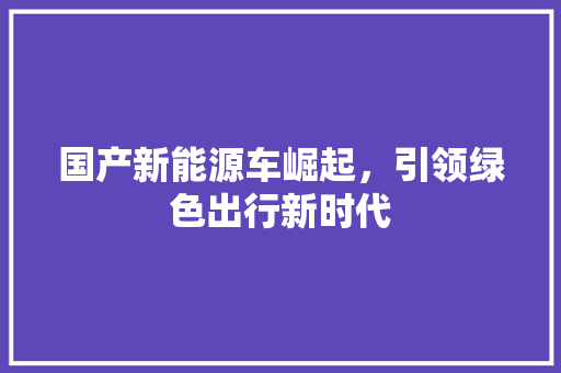 国产新能源车崛起，引领绿色出行新时代