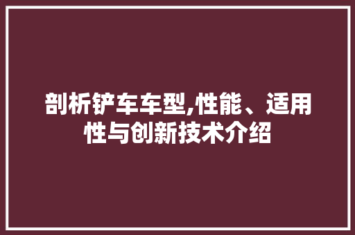 剖析铲车车型,性能、适用性与创新技术介绍