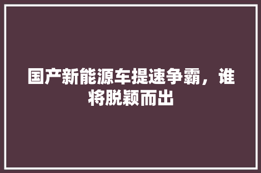 国产新能源车提速争霸，谁将脱颖而出