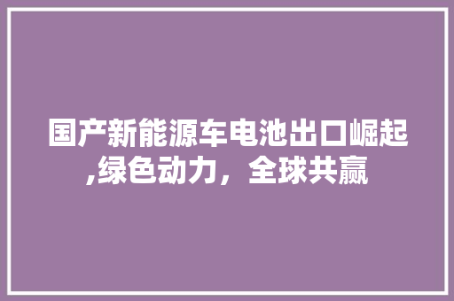 国产新能源车电池出口崛起,绿色动力，全球共赢